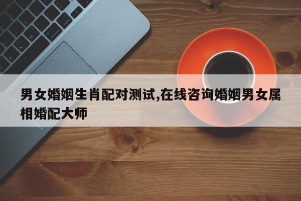 男女婚姻生肖配对测试,在线咨询婚姻男女属相婚配大师