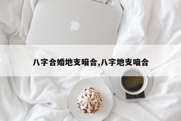 八字合婚地支暗合,八字地支喑合