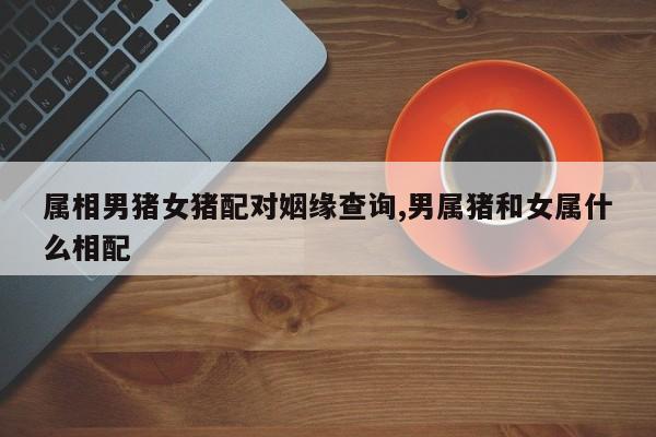 属相男猪女猪配对姻缘查询,男属猪和女属什么相配