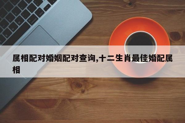 属相配对婚姻配对查询,十二生肖最佳婚配属相