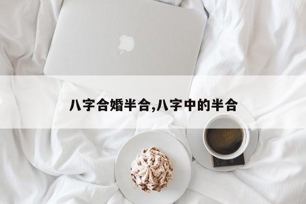 八字合婚半合,八字中的半合