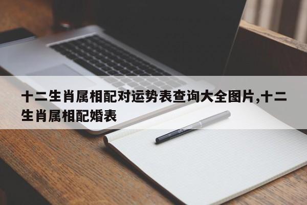 十二生肖属相配对运势表查询大全图片,十二生肖属相配婚表