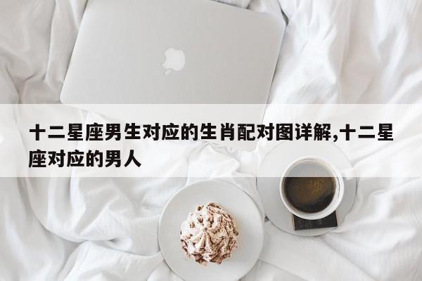 十二星座男生对应的生肖配对图详解,十二星座对应的男人