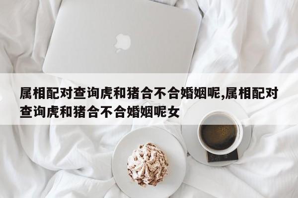 属相配对查询虎和猪合不合婚姻呢,属相配对查询虎和猪合不合婚姻呢女