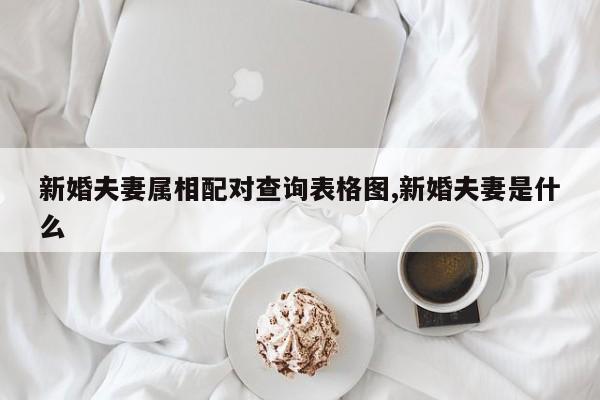 新婚夫妻属相配对查询表格图,新婚夫妻是什么