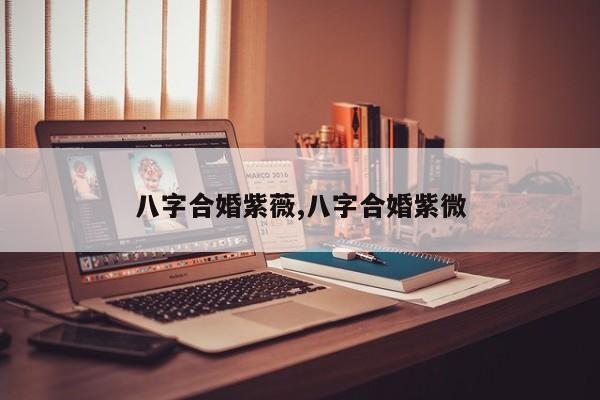 八字合婚紫薇,八字合婚紫微