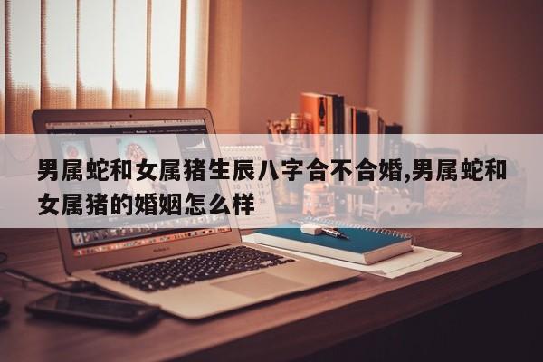 男属蛇和女属猪生辰八字合不合婚,男属蛇和女属猪的婚姻怎么样
