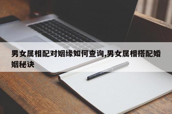 男女属相配对姻缘如何查询,男女属相搭配婚姻秘诀