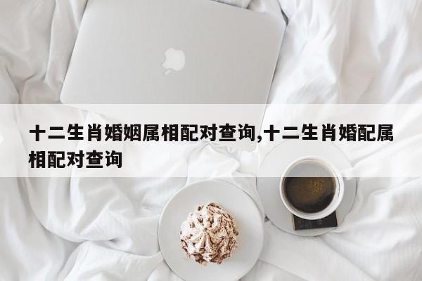 十二生肖婚姻属相配对查询,十二生肖婚配属相配对查询