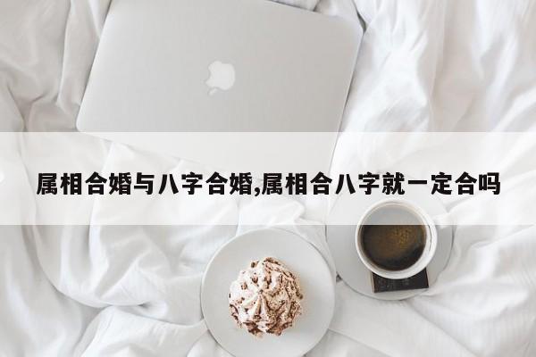 属相合婚与八字合婚,属相合八字就一定合吗
