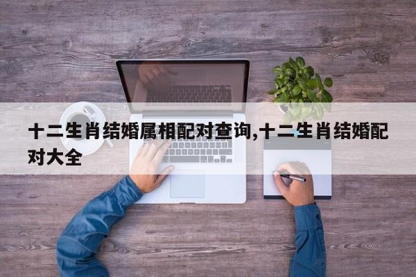 十二生肖结婚属相配对查询,十二生肖结婚配对大全