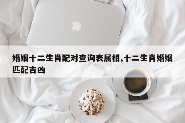 婚姻十二生肖配对查询表属相,十二生肖婚姻匹配吉凶