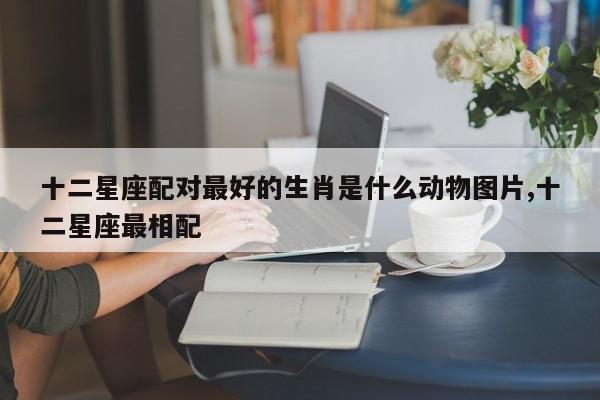 十二星座配对最好的生肖是什么动物图片,十二星座最相配