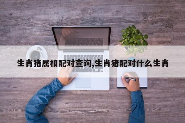 生肖猪属相配对查询,生肖猪配对什么生肖