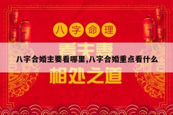 八字合婚主要看哪里,八字合婚重点看什么