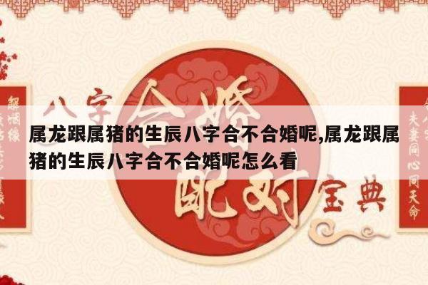 属龙跟属猪的生辰八字合不合婚呢,属龙跟属猪的生辰八字合不合婚呢怎么看