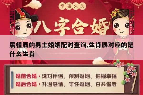 属相辰的男士婚姻配对查询,生肖辰对应的是什么生肖
