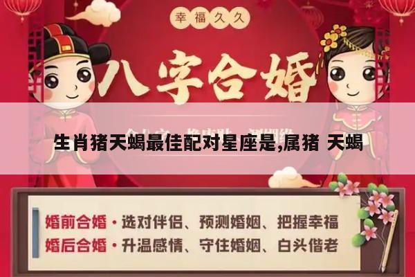 生肖猪天蝎最佳配对星座是,属猪 天蝎