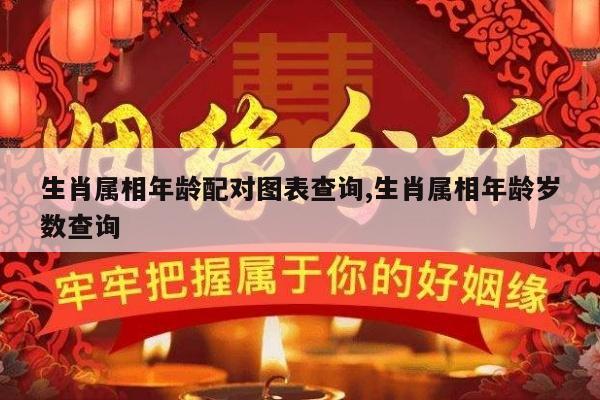 生肖属相年龄配对图表查询,生肖属相年龄岁数查询