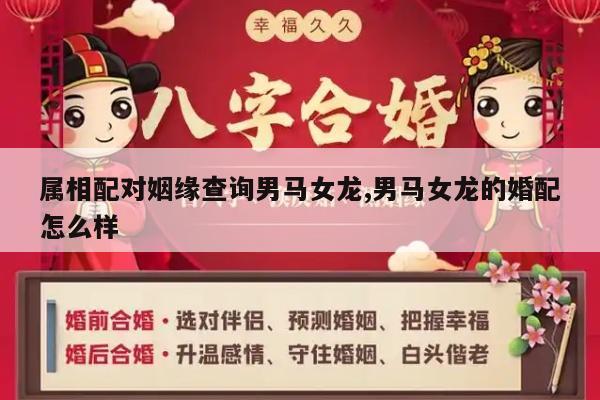 属相配对姻缘查询男马女龙,男马女龙的婚配怎么样