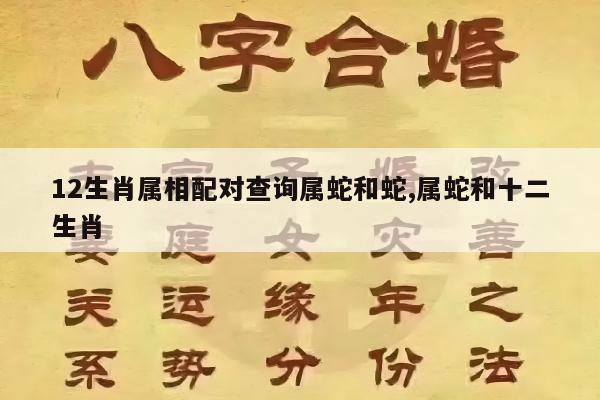12生肖属相配对查询属蛇和蛇,属蛇和十二生肖