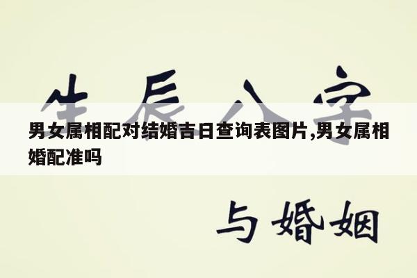 男女属相配对结婚吉日查询表图片,男女属相婚配准吗