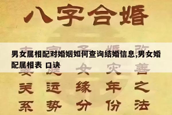 男女属相配对婚姻如何查询结婚信息,男女婚配属相表 口诀