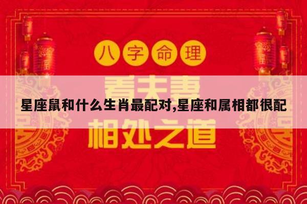 星座鼠和什么生肖最配对,星座和属相都很配