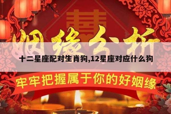 十二星座配对生肖狗,12星座对应什么狗