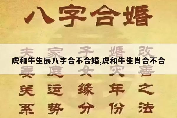 虎和牛生辰八字合不合婚,虎和牛生肖合不合