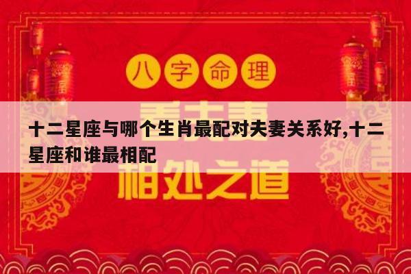 十二星座与哪个生肖最配对夫妻关系好,十二星座和谁最相配