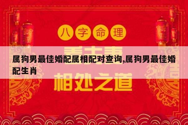 属狗男最佳婚配属相配对查询,属狗男最佳婚配生肖