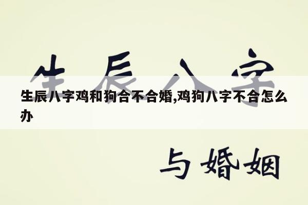 生辰八字鸡和狗合不合婚,鸡狗八字不合怎么办