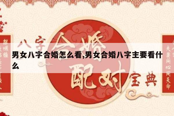 男女八字合婚怎么看,男女合婚八字主要看什么