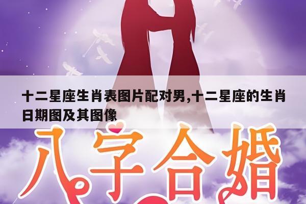 十二星座生肖表图片配对男,十二星座的生肖日期图及其图像