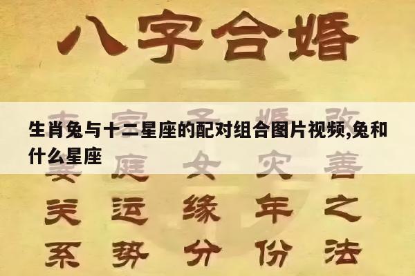 生肖兔与十二星座的配对组合图片视频,兔和什么星座