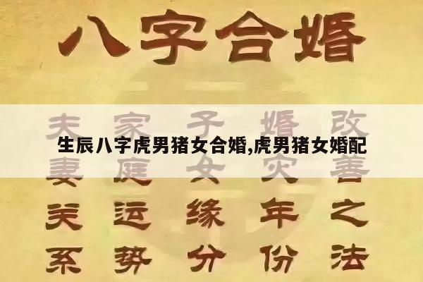 生辰八字虎男猪女合婚,虎男猪女婚配