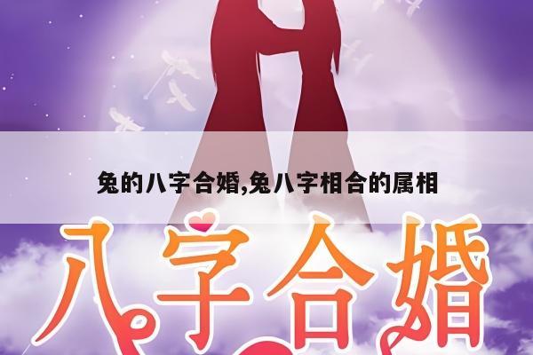 兔的八字合婚,兔八字相合的属相
