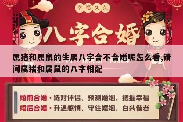 属猪和属鼠的生辰八字合不合婚呢怎么看,请问属猪和属鼠的八字相配