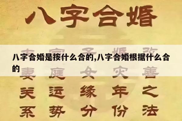 八字合婚是按什么合的,八字合婚根据什么合的