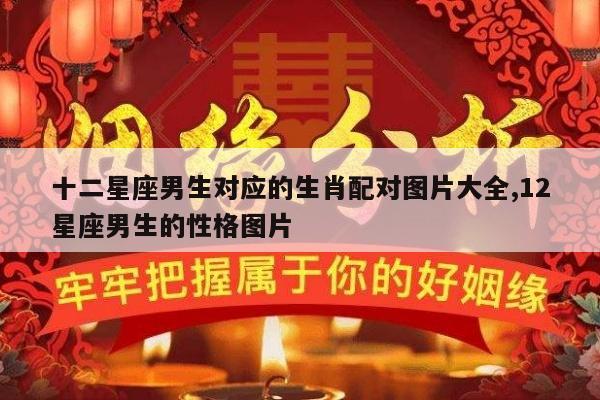 十二星座男生对应的生肖配对图片大全,12星座男生的性格图片