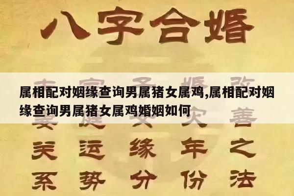 属相配对姻缘查询男属猪女属鸡,属相配对姻缘查询男属猪女属鸡婚姻如何