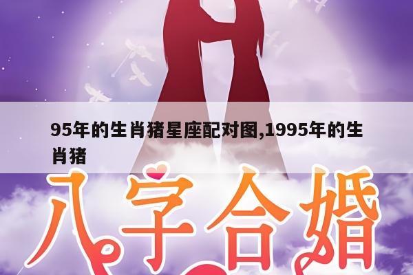 95年的生肖猪星座配对图,1995年的生肖猪
