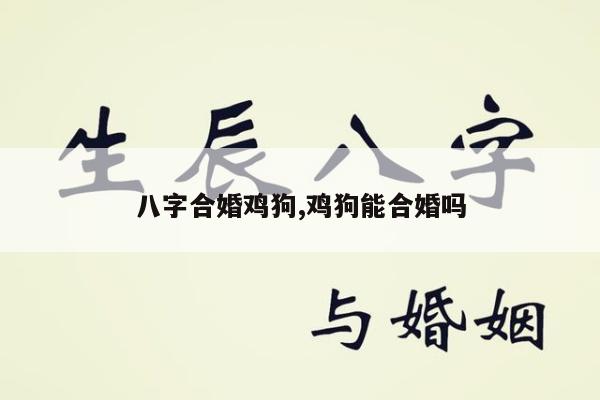 八字合婚鸡狗,鸡狗能合婚吗