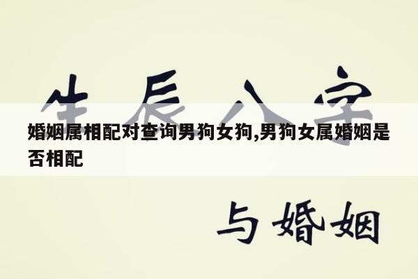 婚姻属相配对查询男狗女狗,男狗女属婚姻是否相配
