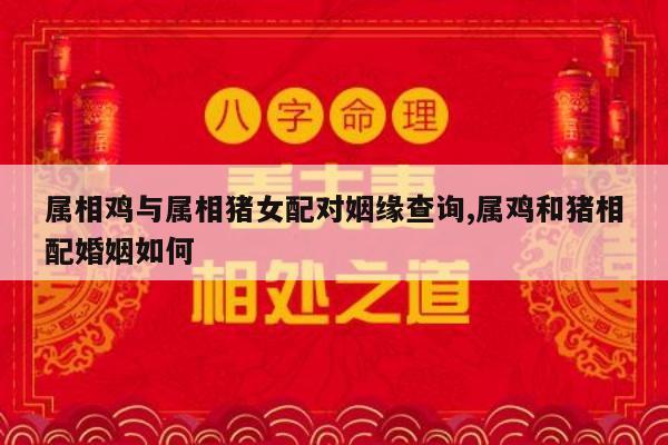 属相鸡与属相猪女配对姻缘查询,属鸡和猪相配婚姻如何