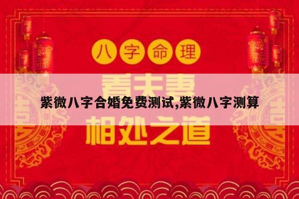 紫微八字合婚免费测试,紫微八字测算