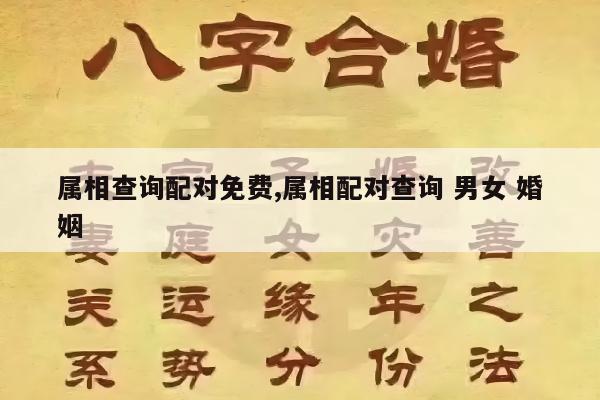 属相查询配对免费,属相配对查询 男女 婚姻