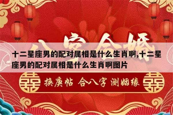 十二星座男的配对属相是什么生肖啊,十二星座男的配对属相是什么生肖啊图片