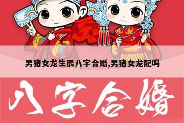 男猪女龙生辰八字合婚,男猪女龙配吗